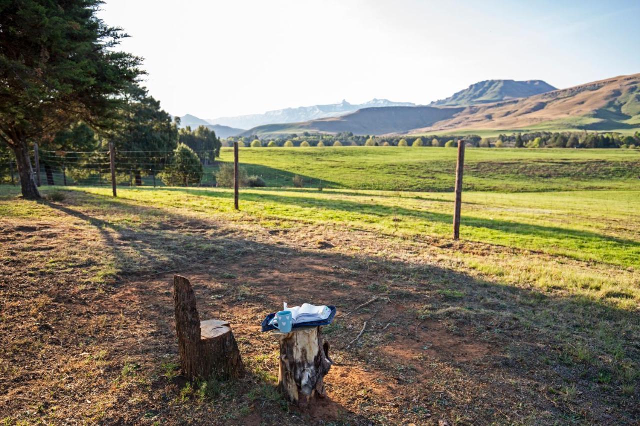 Oak Ridge Guest House Underberg Buitenkant foto